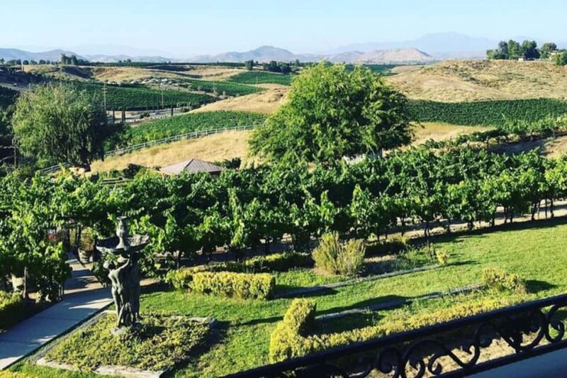 From Seattle - Wine Tasting, Vineyards in Eastern WA - The Sum Up: A Relaxing Day in Washington Wine Country