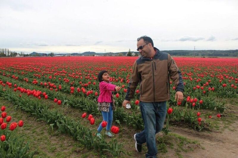 From Seattle:Tulip Festival at Skagit Valley and La Conner - Explore the Washington State Tulip Festival and La Conner in a Full Day