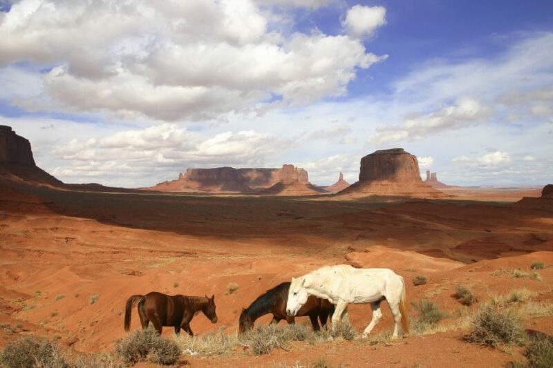 From Sedona or Flagstaff: Full-Day Monument Valley Tour - Practical Tips for the Tour