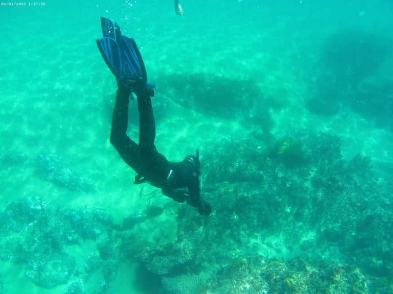 From Sesimbra: Sea Scooter Snorkeling boat Tour - Why This Tour Stands Out