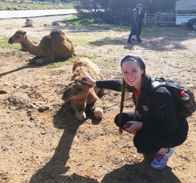 From Seville: 2-Day Trip to Tangier - Timing, Pacing, and Tour Flexibility