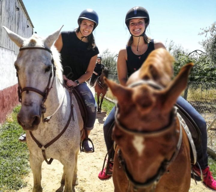 From Seville: Andalusian Horseback Ride - Riding in the Shade of Mediterranean Pine Trees