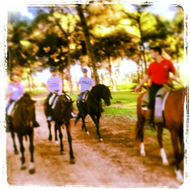 From Seville: Andalusian Horseback Ride - The Ride Itself: Scenic and Relaxed