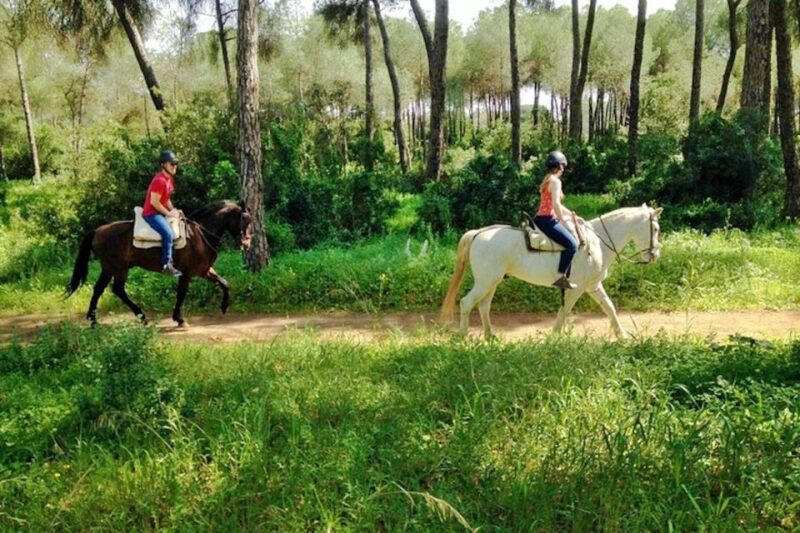 From Seville: Andalusian Horseback Ride - Practical Details: What’s Included and What to Bring