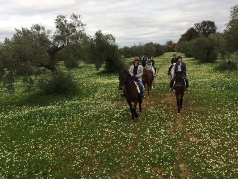 From Seville: Andalusian Horseback Ride - Who Will Enjoy This Horseback Ride?