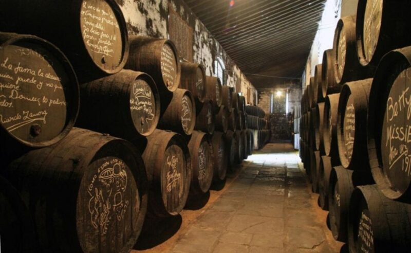 From Seville: Cadiz and Jerez de la Frontera Day Trip - Comfortable Transport and Pacing