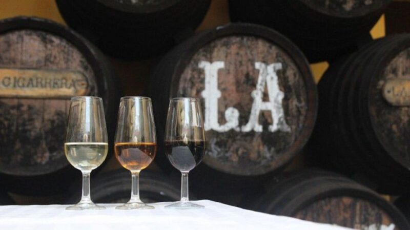 From Seville: Cadiz & Jerez Sherry Tasting Day Trip - Delving into Jerez de la Frontera’s Sherry World