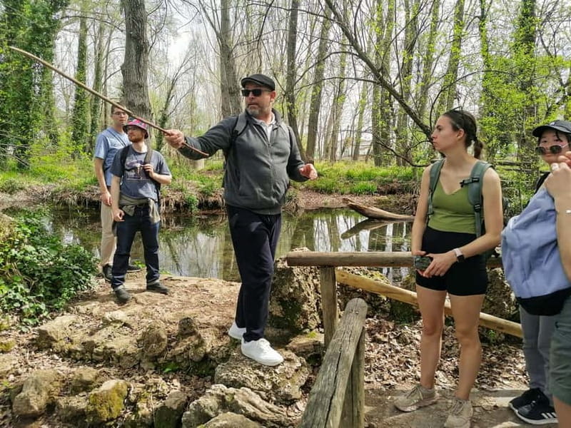 From Seville: Cerro del Hierro Private Hike with Picnic - Logistics and Accessibility for Visitors