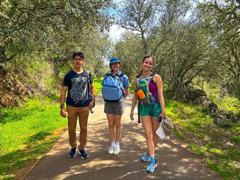 From Seville: Cerro del Hierro Private Hike with Picnic - Who Will Appreciate This Tour Most?