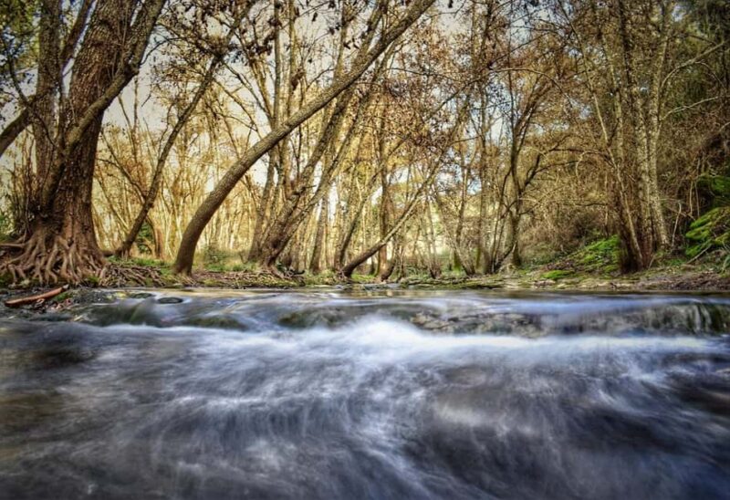 From Seville: Cerro del Hierro private hiking with pic-nic - Crossing Diverse Ecosystems on the Green Route