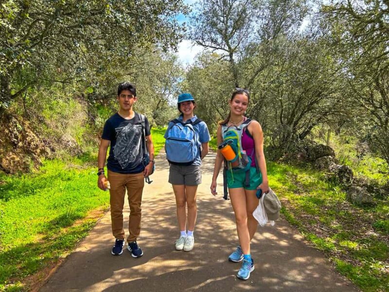 From Seville: Cerro del Hierro private hiking with pic-nic - The Historical Significance of Cerro del Hierro