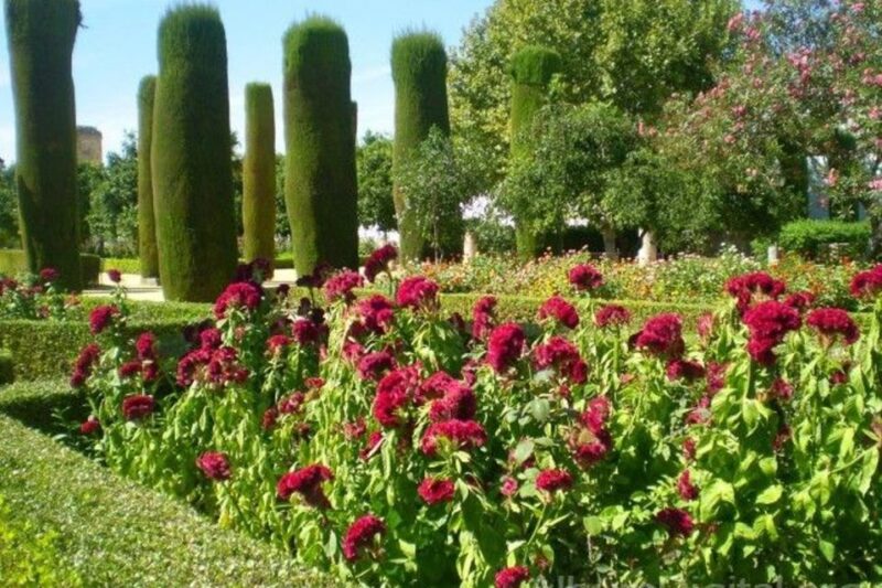 From Seville: Cordoba and Mosque Cathedral Guided Tour - Return Journey and Final Drop-offs