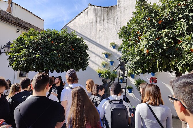 From Seville: Cordoba and Mosque-Cathedral Skip the Line - The Guides: Knowledge, Charm, and Communication