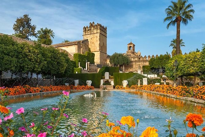 From Seville: Cordoba and Mosque-Cathedral Skip the Line - Practical Tips and Considerations