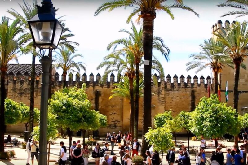 From Seville: Cordoba Full-Day Private Tour - Tour Flexibility and Practical Details