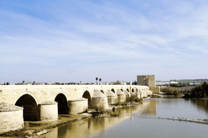 From Seville: Cordoba Private Day Trip - Practical Details: Transport, Group Size, and What to Bring