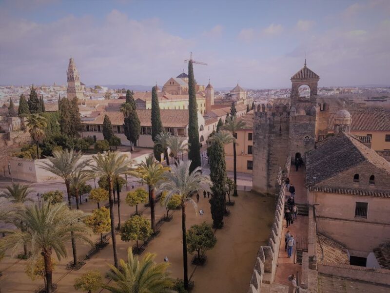 From Seville: Cordoba, the Mosque and Carmona Day Trip - The Return Journey and Drop-off Points
