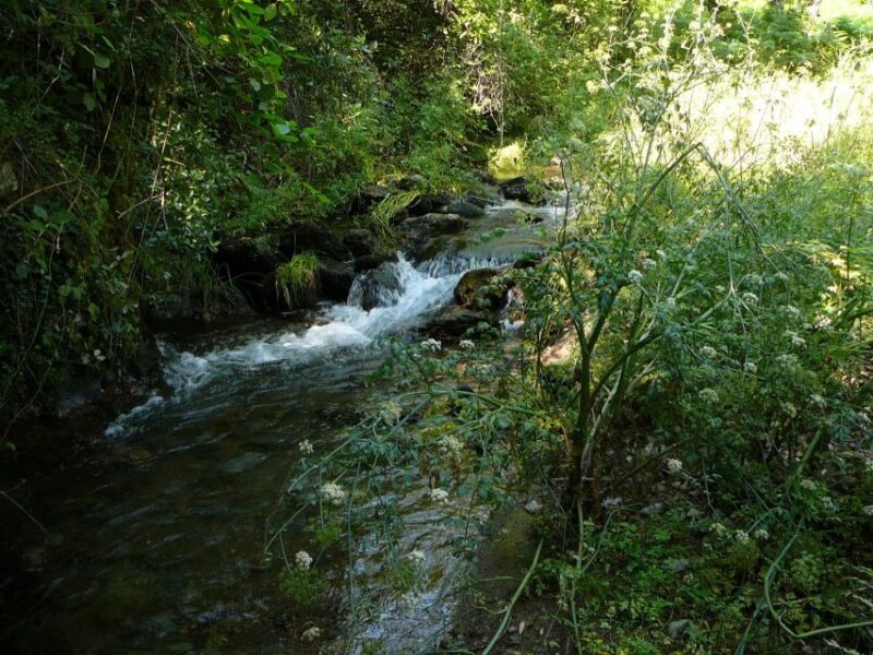 From Seville: Full-Day Aracena & Rio Tinto Mines Tour - Practical Tips and Accessibility Considerations