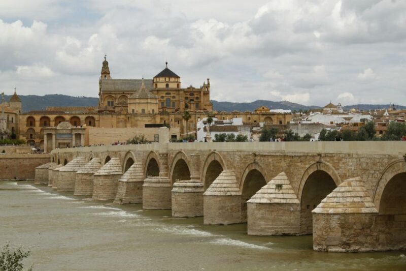 From Seville: Full-Day Cordoba Private Tour - Key Points