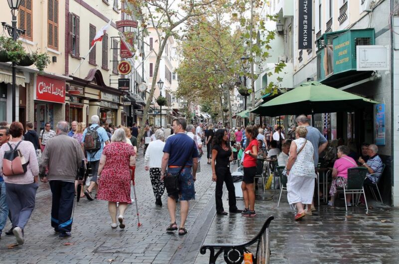 From Seville: Full-Day Private Tour of Gibraltar - Scenic Views of the Moroccan and Spanish Coasts