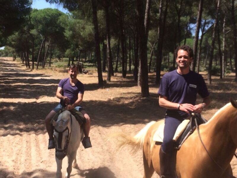 From Seville: Horseback Riding Experience in Aljarafe - Discover the Andalusian Countryside on Horseback Near Seville