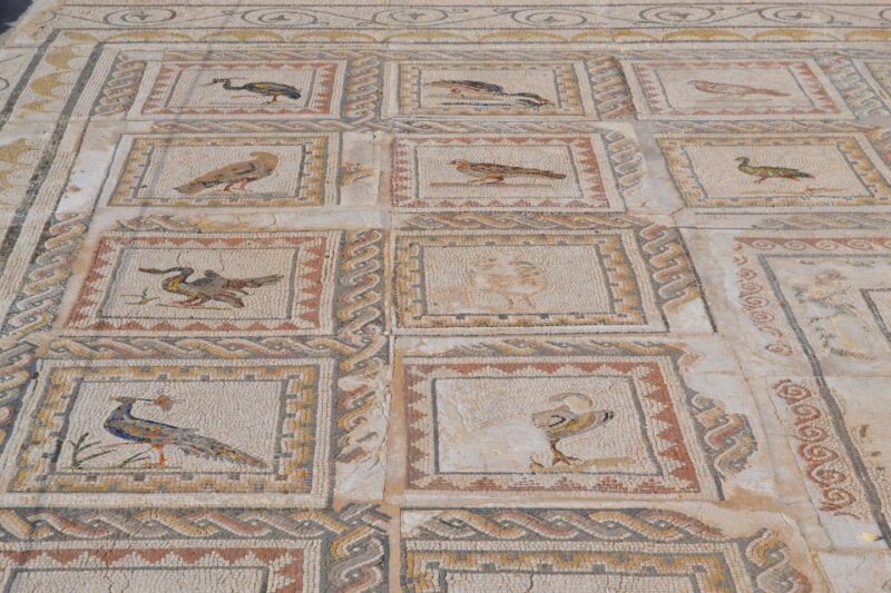 From Seville: Italica Roman City Tour - What Sets This Tour Apart from Others?