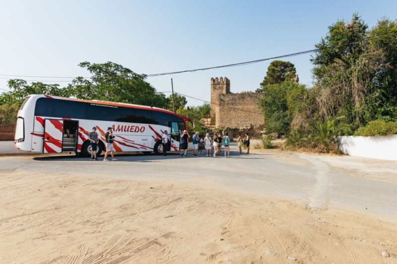 From Seville: Pueblos Blancos and Ronda Full-Day Trip - The Journey Back to Seville and Final Logistics