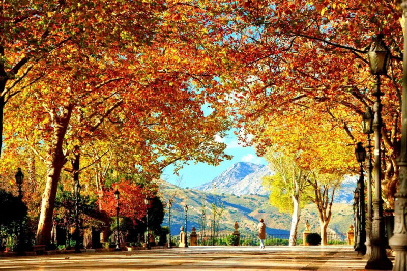 From Seville: Ronda, Setenil white town and Zahara Viewpoint - Comparing Similar Tours and Additional Options