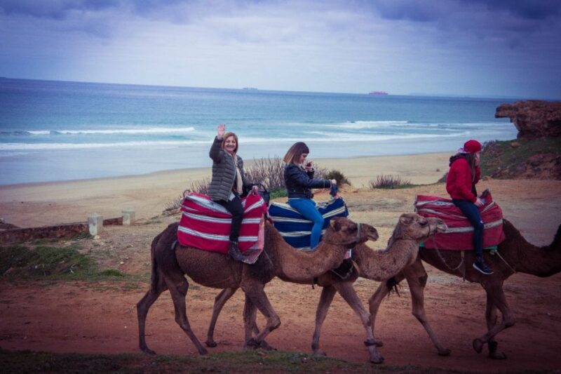 From Seville: Tangier Day Trip with Local Guide and Lunch - Discover Tangier in a Day from Seville at $257