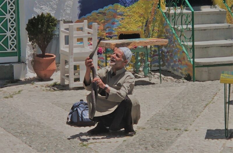 From Seville: Tangier Day Trip with Local Guide and Lunch - Exploring the Medina and City Center Streets