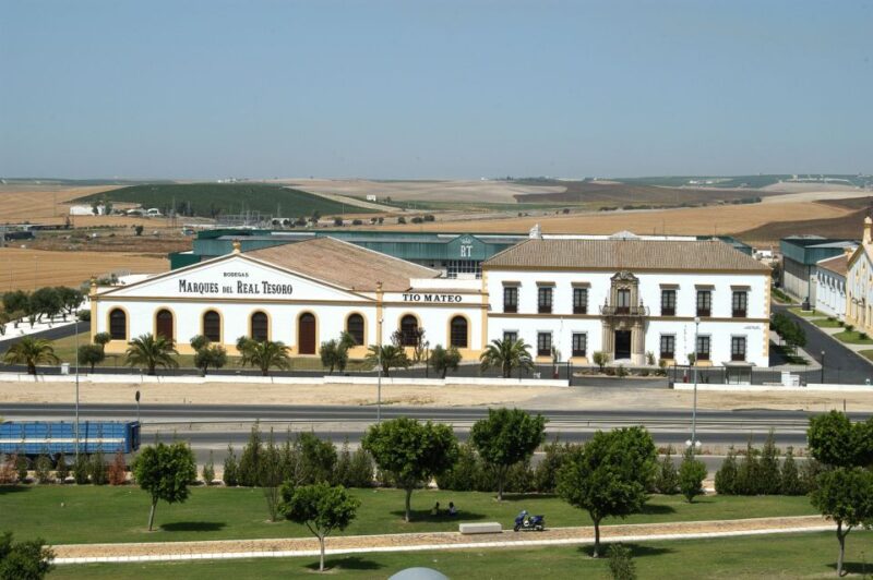 From Seville: Tour of Jerez with Horse Show & Wine Tasting - Watching "How the Horses Dance" at the Royal School