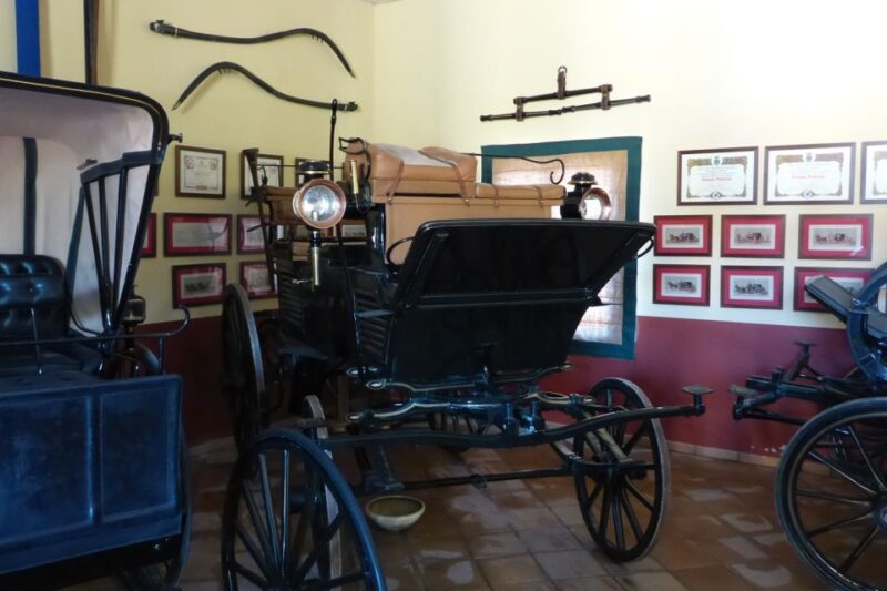 From Seville: Tour of Jerez with Horse Show & Wine Tasting - Practical Details: Transport, Accessibility, and Schedule