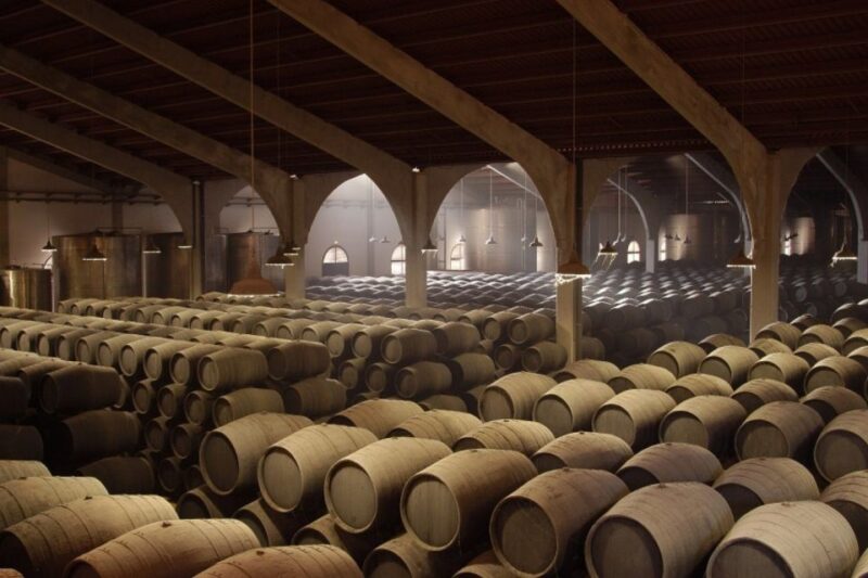 From Seville: Tour of Jerez with Horse Show & Wine Tasting - Reviews Highlighting the Tours Strengths and Limitations