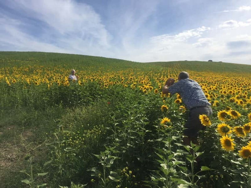 From Seville: White Villages and Ronda private day trip - Logistics and Practical Details of the Tour