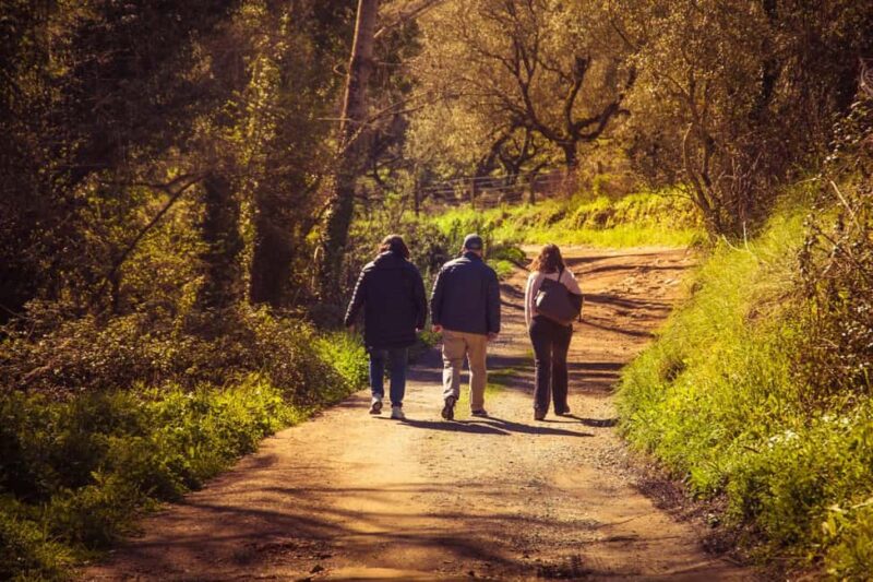 From Seville: White Villages of Huelva Private Full-Day Tour - Discover the White Villages of Huelva in a Private Full-Day Tour