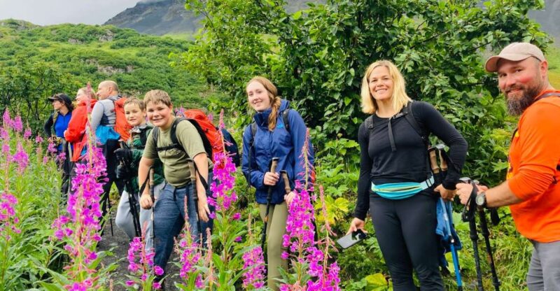 From Seward: 6-hour Wilderness Hiking Tour - Physical Fitness and Accessibility Considerations