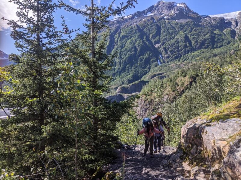 From Seward: 6-hour Wilderness Hiking Tour - The Flexibility of Booking and Cancellation Policies