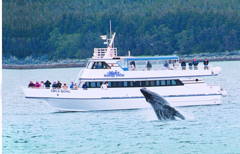 From Seward: Half-Day Resurrection Bay Wildlife Cruise Tour - Starting Point and Logistics for the Resurrection Bay Wildlife Cruise