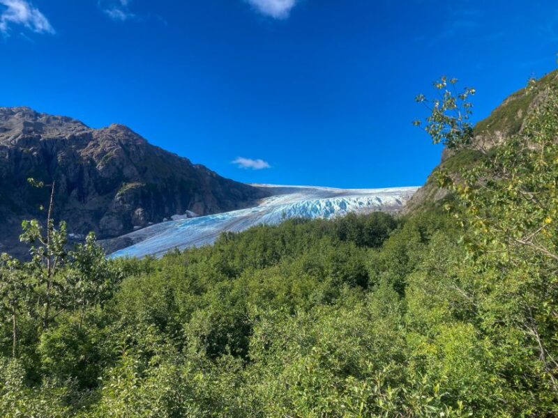 From Seward: Harding Icefield Trail Hiking Tour - Scenic Highlights: Glaciers, Mountains, and Waterfalls