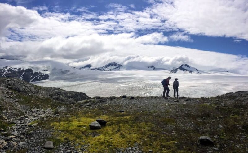 From Seward: Harding Icefield Trail Hiking Tour - Wildlife Encounters in the Wilderness