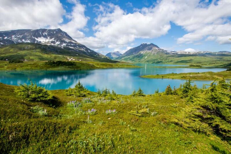 From Seward: Lost Lake Trail Hiking - Discover the Beauty of Lost Lake on a Guided Hiking Tour from Seward