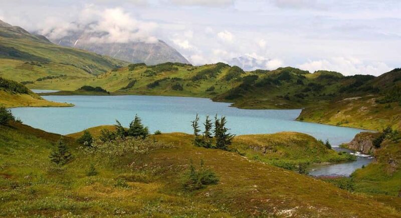 From Seward: Lost Lake Trail Hiking - Trekking in Untamed Wilderness and Alpine Tundra
