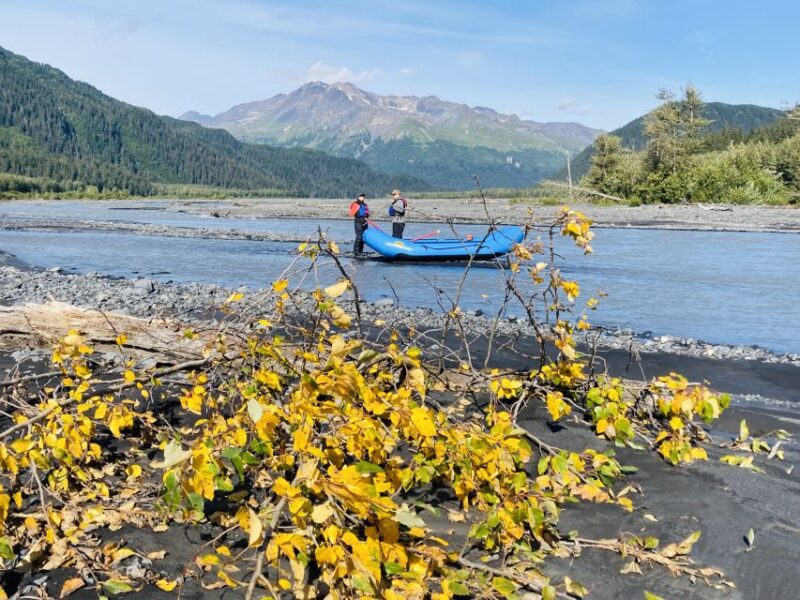 From Seward: Resurrection River Rafting Tour - The Value of This Rafting Tour