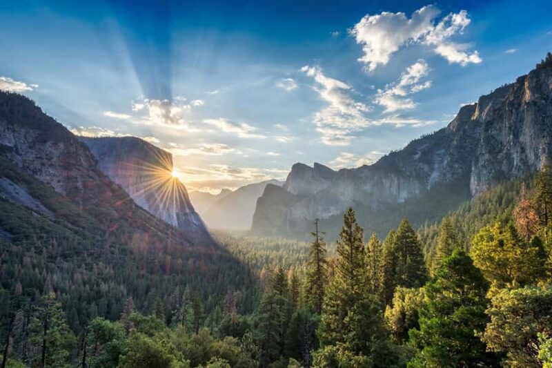 From SF: Yosemite Day Trip with Giant Sequoias Hike & Pickup - Cost and Value Considerations