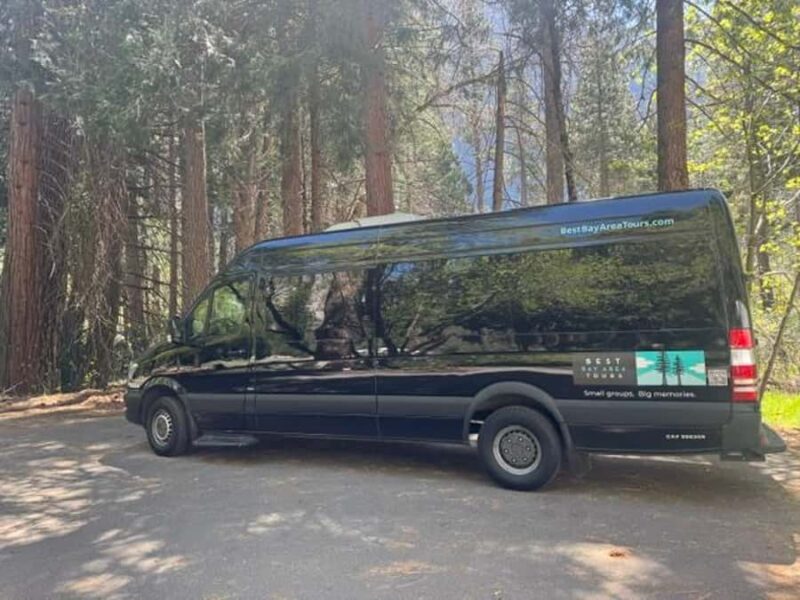 From SF: Yosemite Day Trip with Giant Sequoias Hike & Pickup - Who Will Love This Tour?