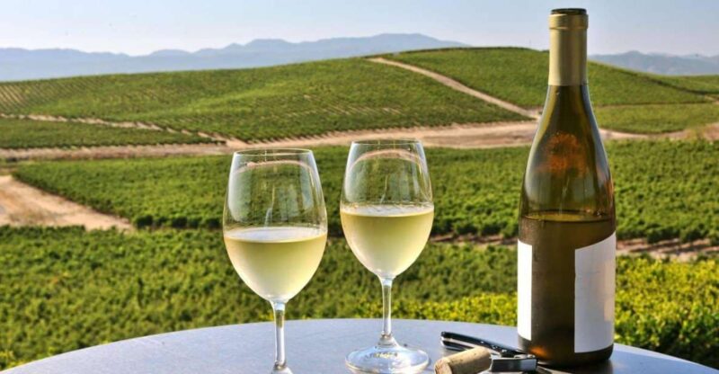 From SFO - Enchanted Napa & Sonoma Wine Tour in SUV - Pickup and Transportation from San Francisco