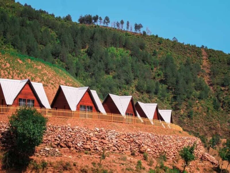 From Shkoder: Komani Lake Day Tour with Traditional Lunch - Komani Lake Day Tour from Shkoder: A Journey Through Nature and Culture