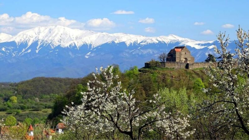 From Sibiu: Blue Line & City Tour Sighisoara - UNESCO - Discover Sighisoara in a Day from Sibiu for Just $82