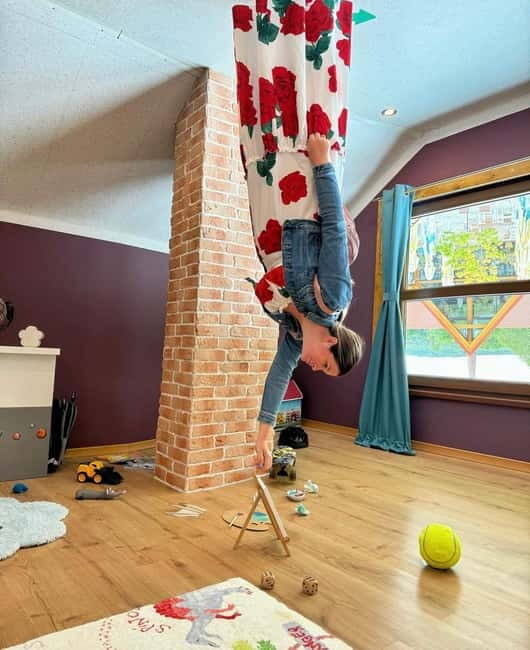 From Sibiu: Brukenthal Palace & The Upside-down House Avrig - Practical Details: Included Perks and Booking Flexibility