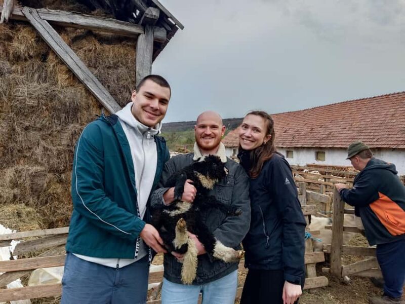 From Sibiu: Villages, Farm Life & Horse Carriage Ride - Key Points